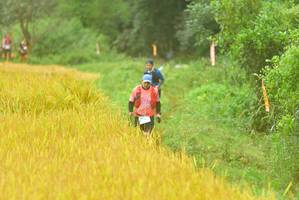 BIB: 
                            <button type="button" onclick="openModal(13456378)" class="btn btn-primary btn-sm float-right btn-popup" data-toggle="modal" data-target=".modal-high-quality">
                        <i class="fas fa-shopping-cart"></i> Add to Cart
                    </button>
                                            <button type="button" onclick="isThisMe(13456378, true)" class="btn btn-success btn-sm float-right btn-popup btn-isme hidden" data-toggle="tooltip" data-placement="bottom" title="นี่คือรูปของคุณใช่ไหม คลิกที่นี่เพื่อเอาเข้าอัลบั้ม">
                        <i class="fas fa-plus"></i> Add to album
                    </button>
                    <button type="button" onclick="isThisMe(13456378, false)" class="btn btn-warning btn-sm float-right btn-popup btn-isnotme hidden">
                        <i class="fas fa-ban"></i> Remove from album
                    </button>